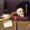 memento mori